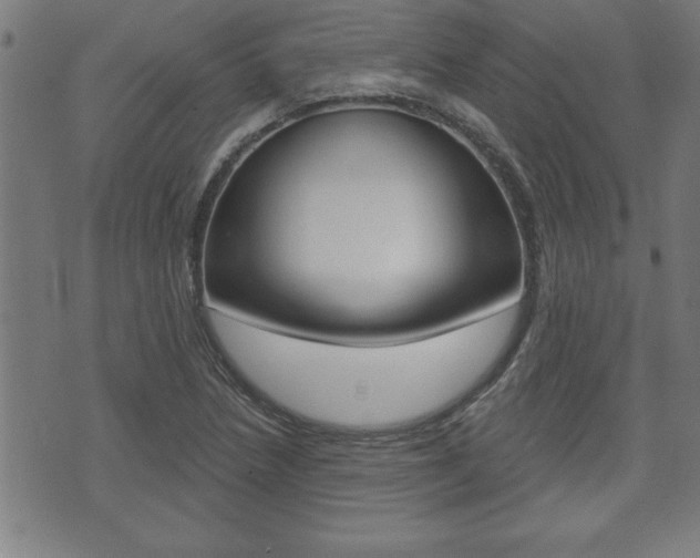 X0000073501218200607310844