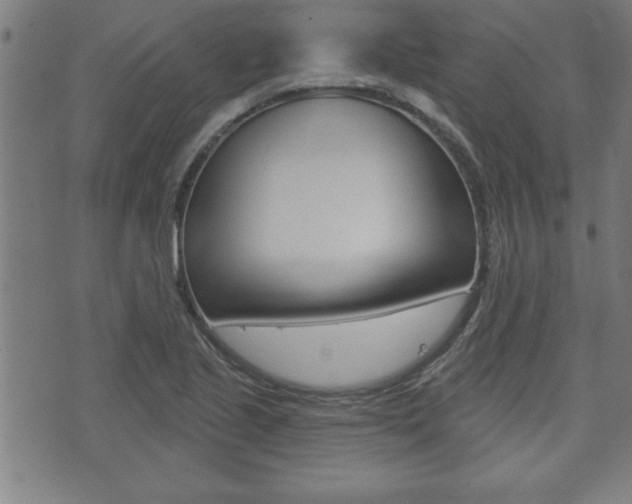 X0000073501221200607310844