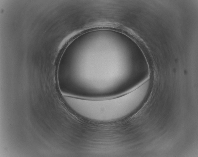 X0000073501222200607310844