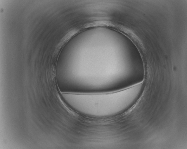X0000073501233200607310844