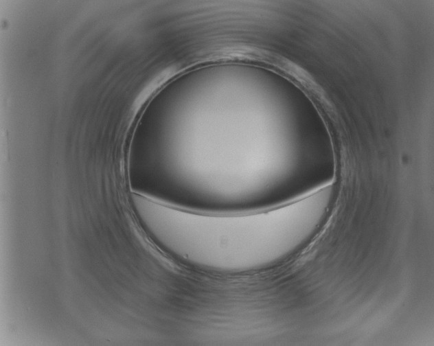 X0000073501234200607310844