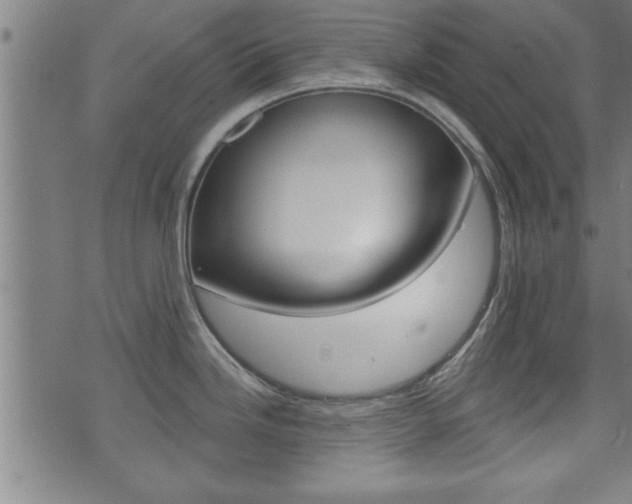 X0000073501246200607310845