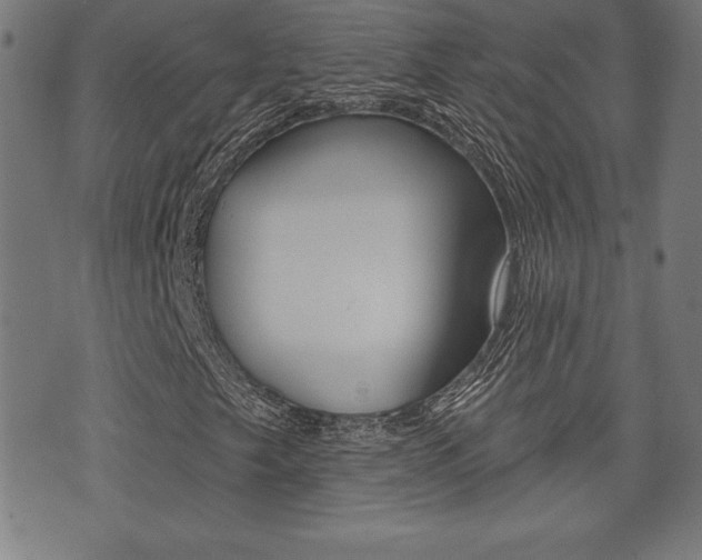X0000073501249200607310844