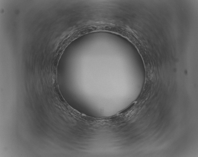 X0000073501253200607310844