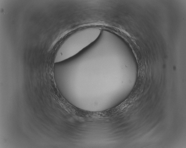 X0000073501255200607310844
