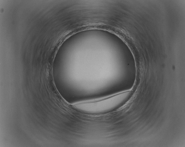 X0000073501257200607310844