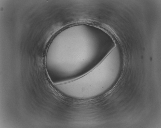 X0000073501260200607310844