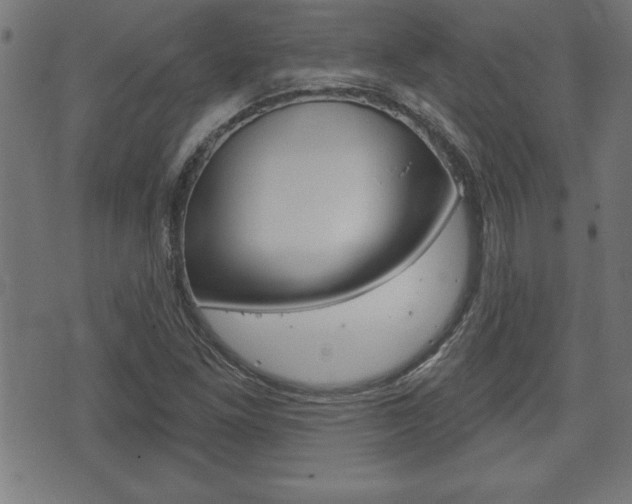 X0000073501261200607310844