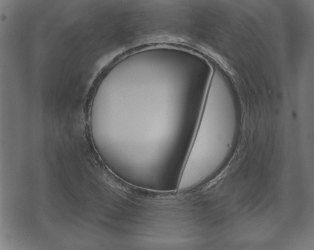 X0000073501264200607310844