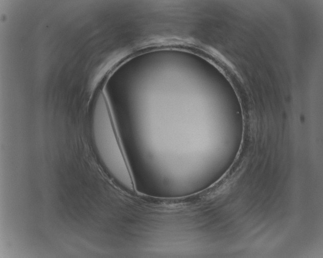 X0000073501269200607310844