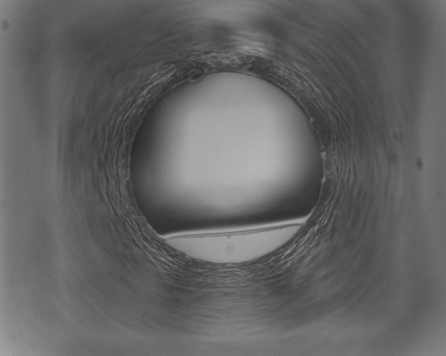 X0000073501297200607310842