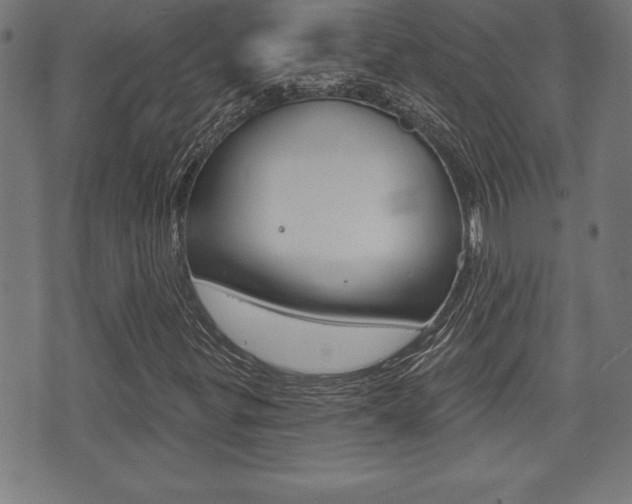 X0000073501299200607310842