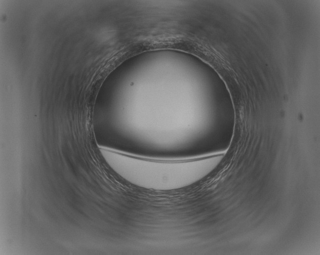 X0000073501300200607310842
