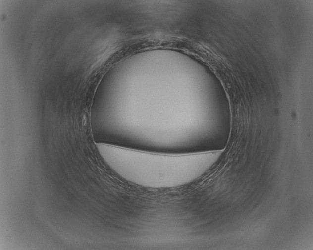 X0000073501302200607310842