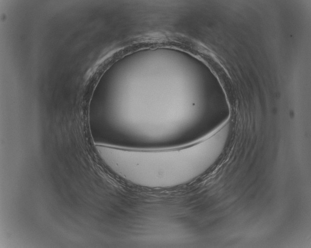 X0000073501304200607310842