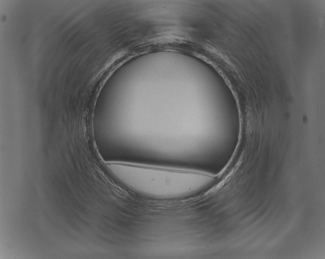 X0000073501305200607310842