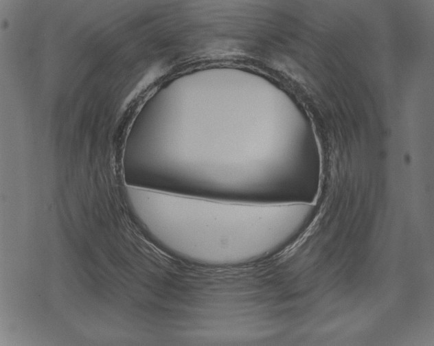X0000073501306200607310842