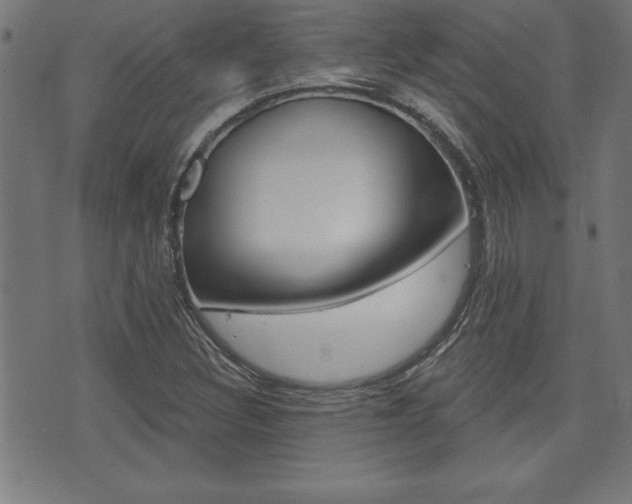 X0000073501308200607310842