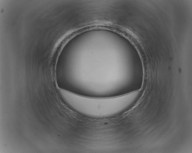 X0000073501310200607310842