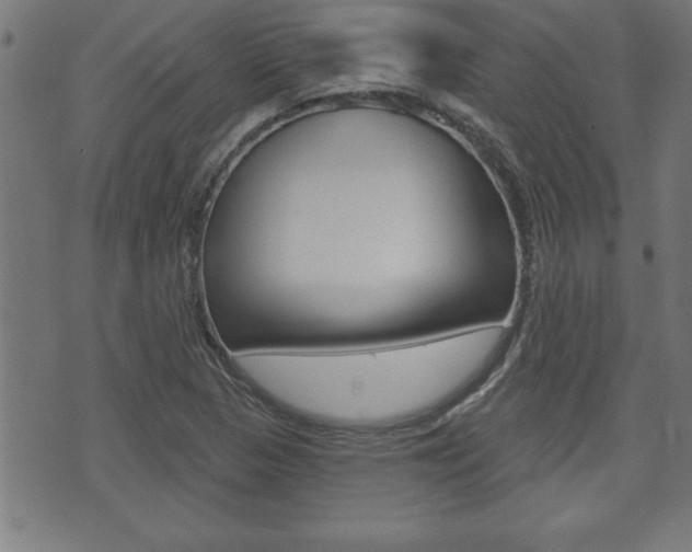 X0000073501313200607310843