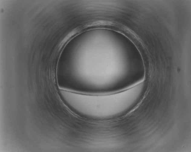 X0000073501321200607310843