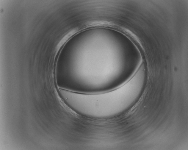 X0000073501330200607310843