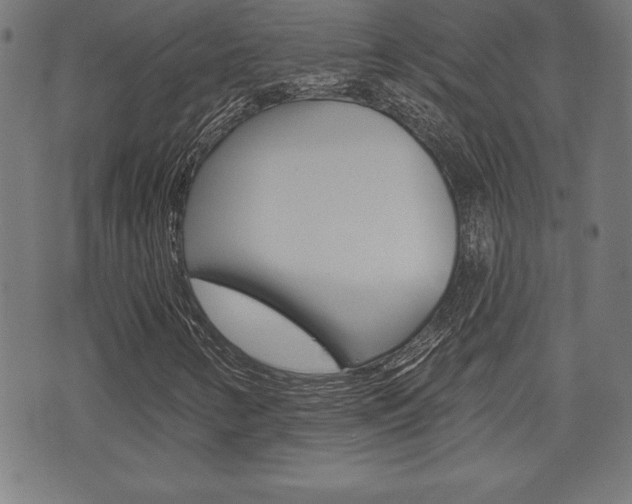X0000073501346200607310842