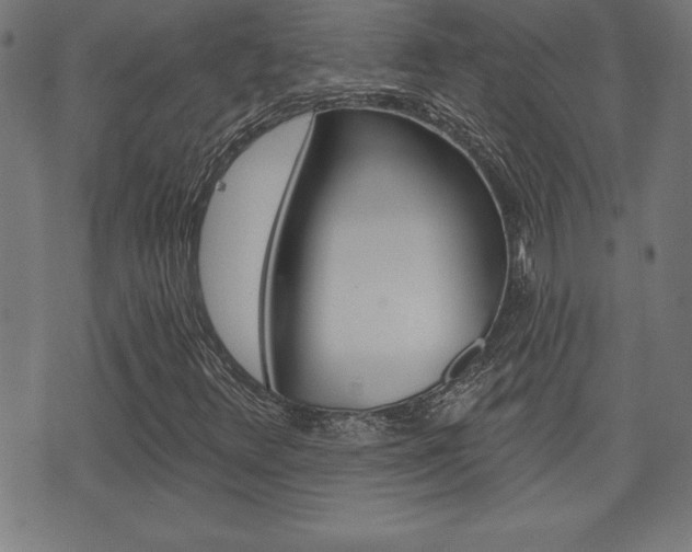 X0000073501348200607310842