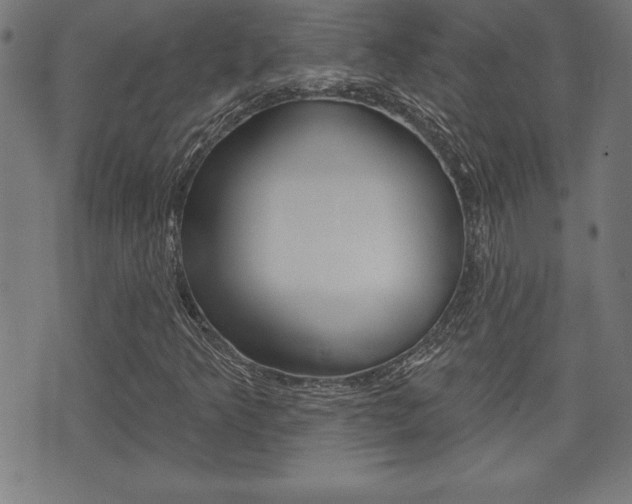 X0000073501349200607310842