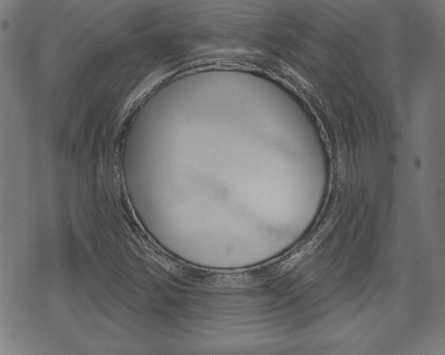 X0000073501354200607310842
