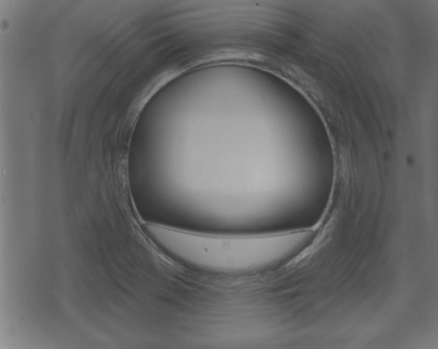 X0000073501369200607310842