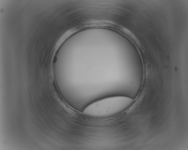 X0000073501370200607310842