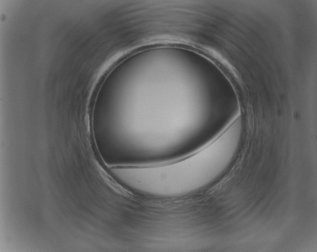 X0000073501372200607310842
