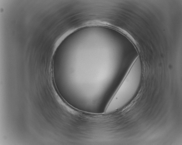 X0000073501387200607310842