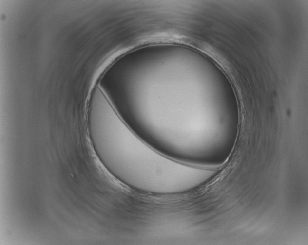 X0000073501392200607310841