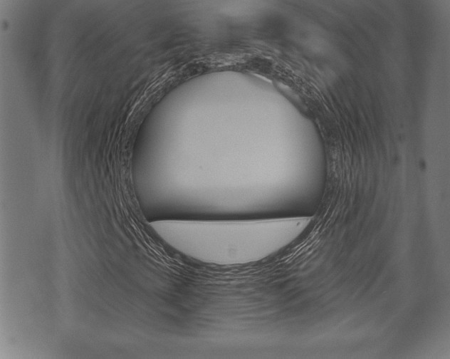 X0000073501393200607310841