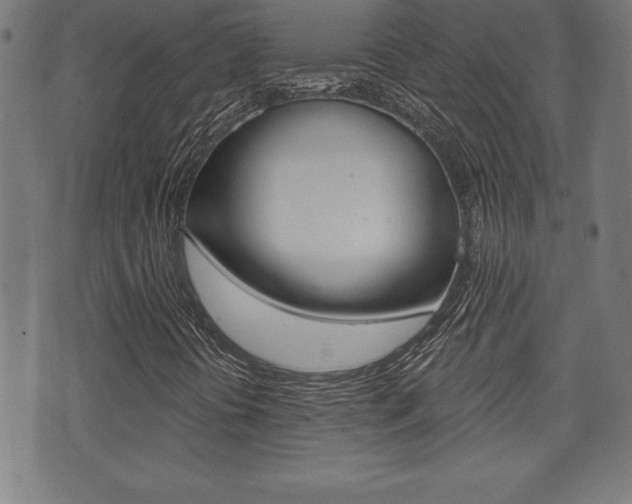 X0000073501394200607310841
