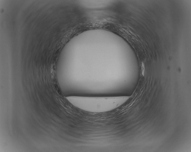 X0000073501395200607310841