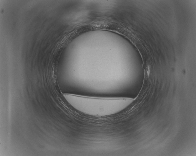 X0000073501396200607310841