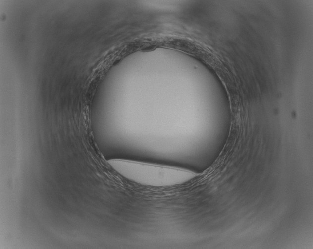 X0000073501397200607310841