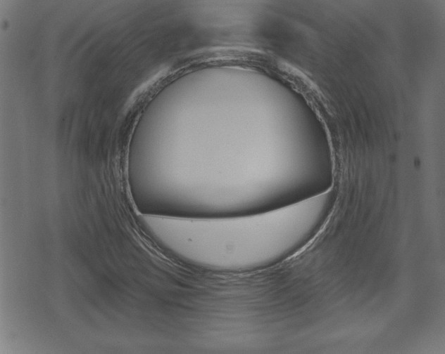 X0000073501403200607310841