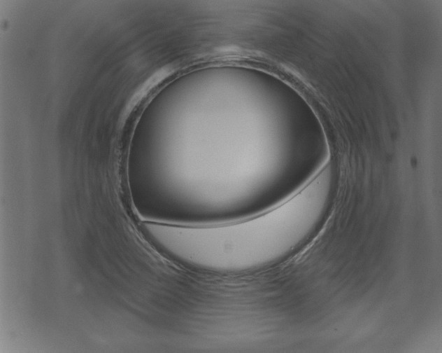 X0000073501410200607310841