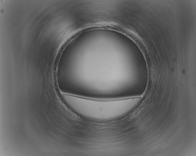 X0000073501412200607310841
