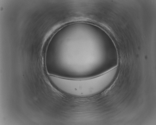 X0000073501414200607310841