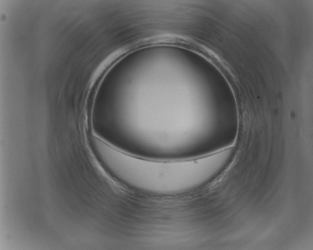 X0000073501418200607310841