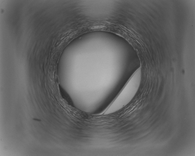 X0000073501441200607310841
