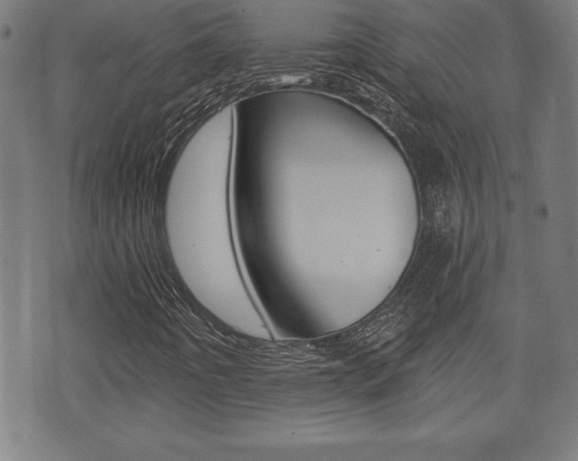 X0000073501442200607310841