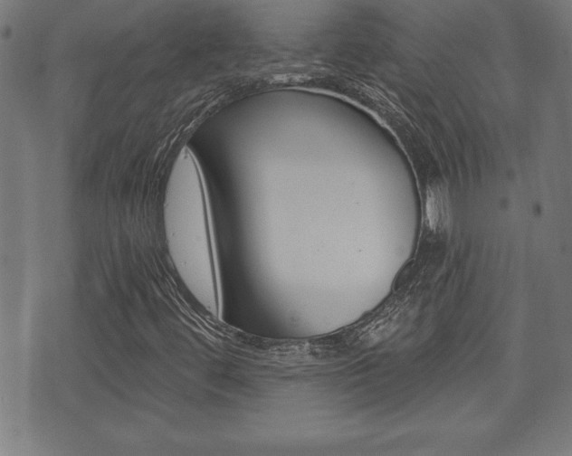 X0000073501444200607310841