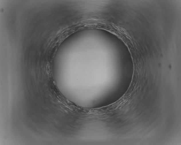 X0000073501445200607310841