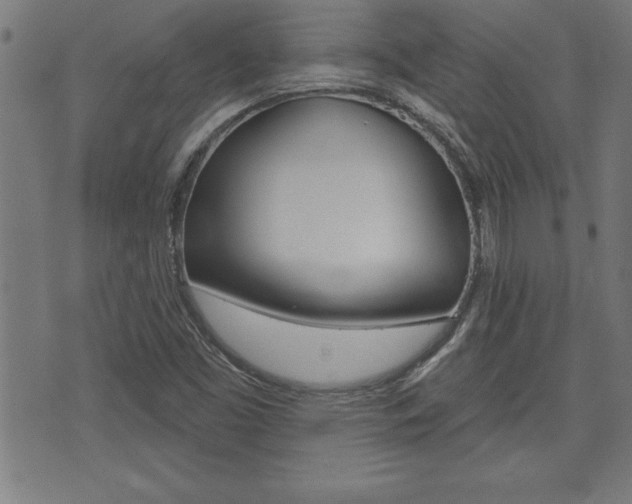 X0000073501453200607310840